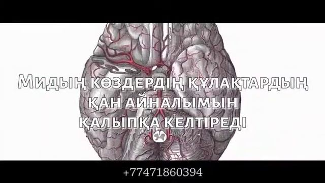 Всё о продукте компании GLOBAL TREND на казахском. смотреть онлайн