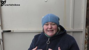 Спорыш для посева в междурядье ежевики и малины