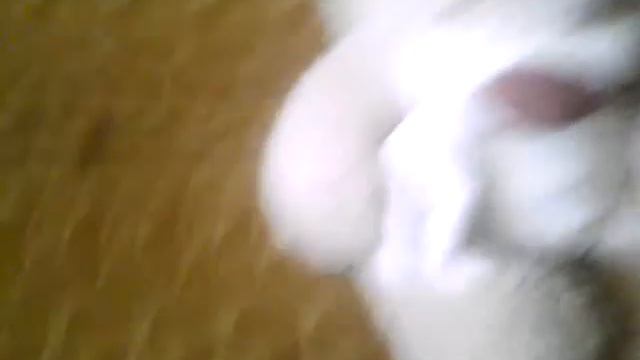 Карута смотреть онлайн