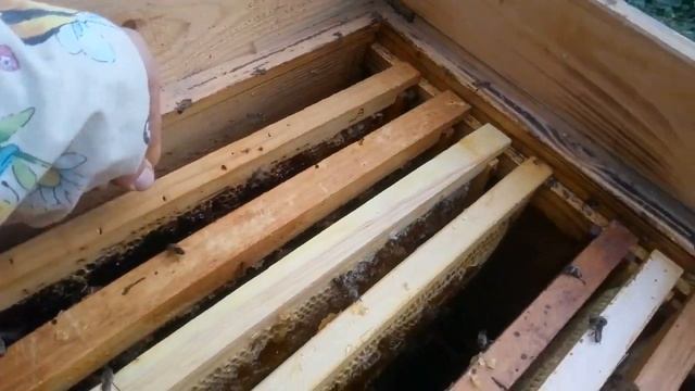 Подготовка пчел к зимовке. Зимовка пчёл. Пчеловодство для начинающих смотреть онлайн