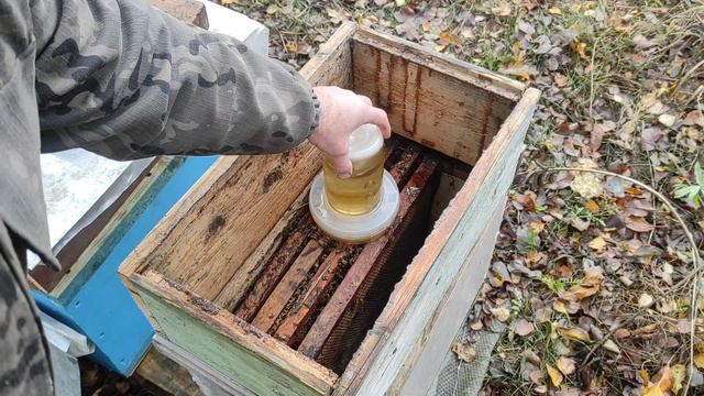 Пчеловодство. Подготовка отводков к зиме: когда и как проводить позднюю подкормку в октябре? #пчёлы смотреть онлайн