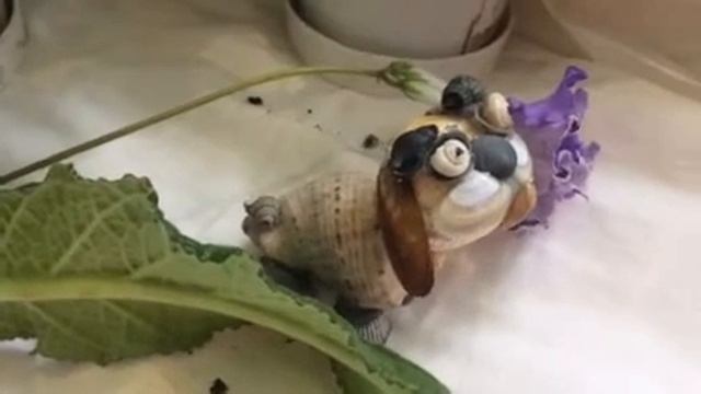 Собачка из морской ракушки "Фил, чудо мое, ты где?" смотреть онлайн