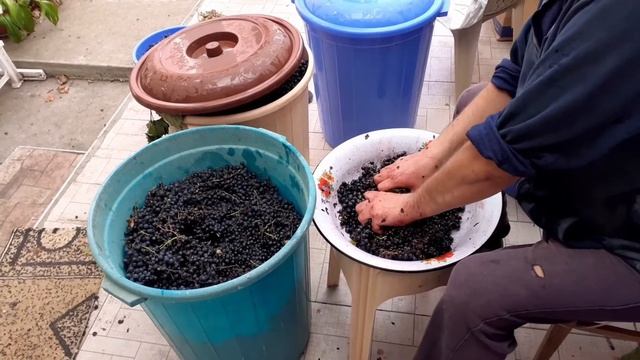 Производство виноградного вина в домашних условиях..26 сентября 2020 г. смотреть онлайн