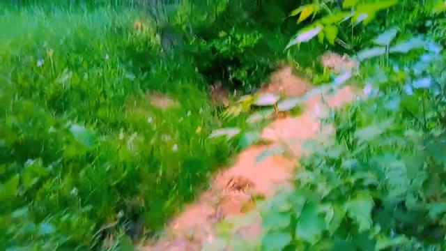 @ Богдан Толкачёв смотреть онлайн