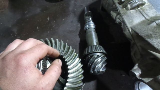 Жизнь в обновленной обстановке