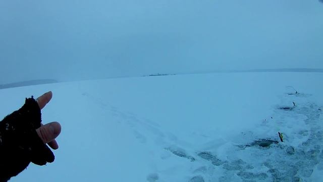 ТАМ ТРОФЕЙ.ЛОВЛЯ СУДАКА НА ТЮЛЬКУ. р.Волга смотреть онлайн