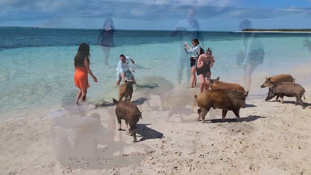 Sailing Abaco смотреть онлайн