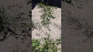 Шумоизоляция для колпака !