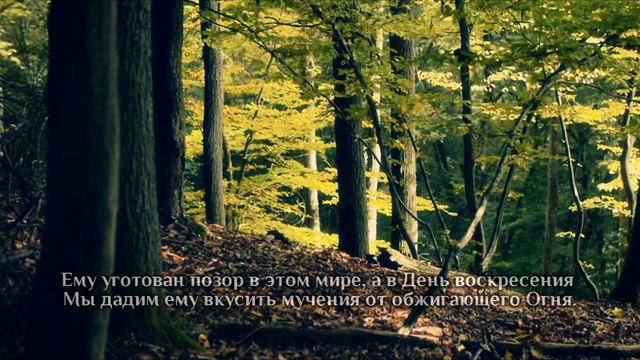 Хатим Фарид. Сура 22 «Xaдж», аяты 1-18. смотреть онлайн