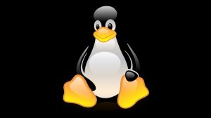 Linux с нуля до сертификата.
011 Архивирование и Сжатие  tar, gzip, bzip2, xz, zip