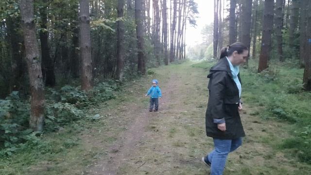 Эпизоды из жизни священника. Чай, молитва и старые подсвечники. смотреть онлайн