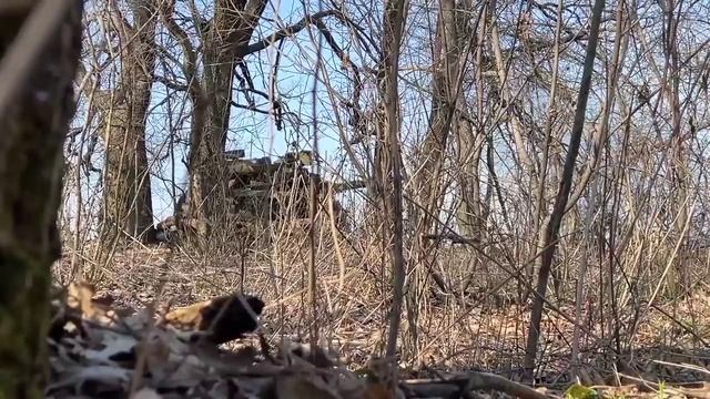 Video-133441491_456268260_3081b4b9e5149eaa83.mp4