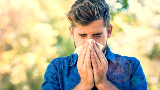 Почему люди чихают? смотреть онлайн