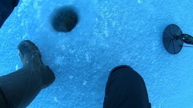 Рыбалка на Сарысу. Мелкая щука так и поднимает флажки. смотреть онлайн