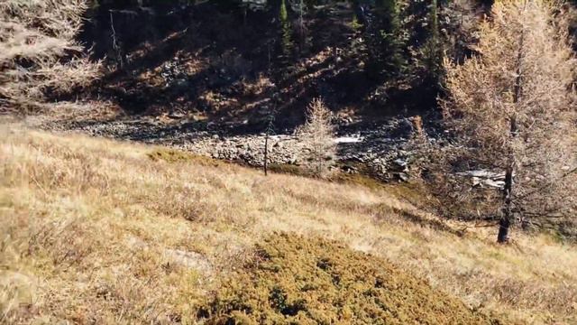 Куектанарские озёра. Алтай. смотреть онлайн