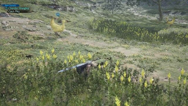 Final Fantasy VII Rebirth Catch Chocobo Piko