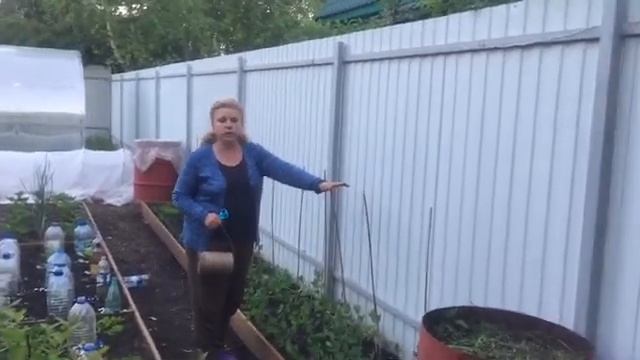 КАК СДЕЛАТЬ ОПОРУ ДЛЯ ГОРОХА/Сделала красивую опору для гороха и бобов смотреть онлайн