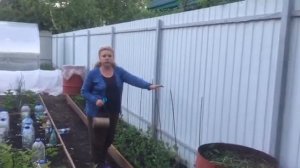 КАК СДЕЛАТЬ ОПОРУ ДЛЯ ГОРОХА/Сделала красивую опору для гороха и бобов