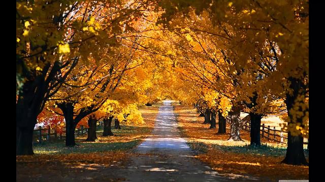 Осень.(Олег Аринушкин) смотреть онлайн