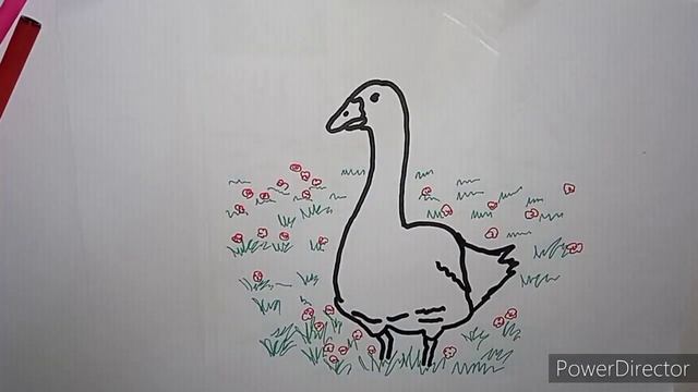 HOW TO DRAW AND COLOR A GOSE / КАК НАРИСОВАТЬ И ПОКРАСИТЬ ГУСЯ / ゴーゼを描き、色を付ける方法 / 如何繪製和著色鵝 смотреть онлайн