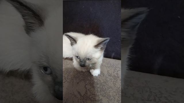 Ещё видео с Асей