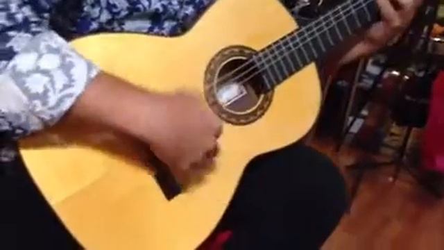 Prudencio Saez 24 Flamenco Negra смотреть онлайн
