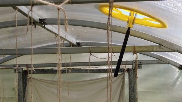 Форточки в теплице