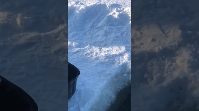 Зарыбление спарктика,рыбалка со льда РК «Фишка» Петряиха смотреть онлайн