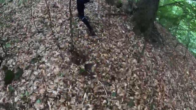 Стефан @JWOC2023 training camp - Long pt. 2 смотреть онлайн