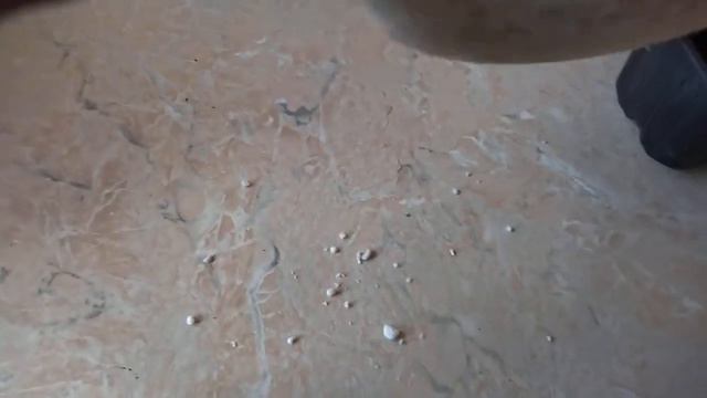 Черенкуйте гортензии таким способом - и корни нарастут даже в воздухе! смотреть онлайн