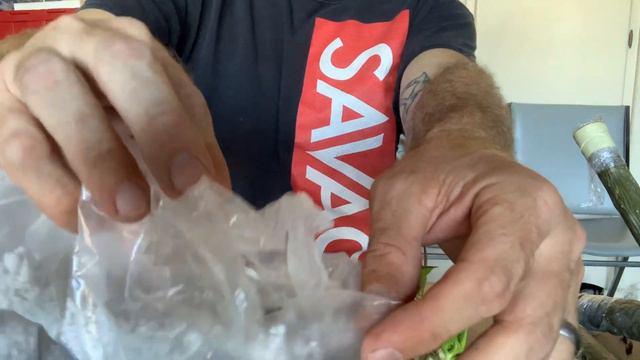 Mr. Savage Bag Roots His Plumeria Cuttings смотреть онлайн