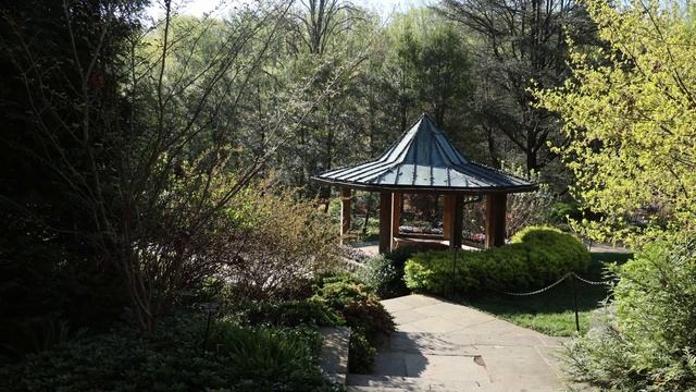 Brookside Garden and Huntly 2021-04-17 смотреть онлайн