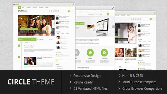 Circle theme - Multi Purpose Template | Themeforest Website Templates and Themes смотреть онлайн