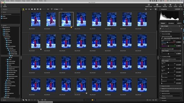Nikon NX Studio en français смотреть онлайн
