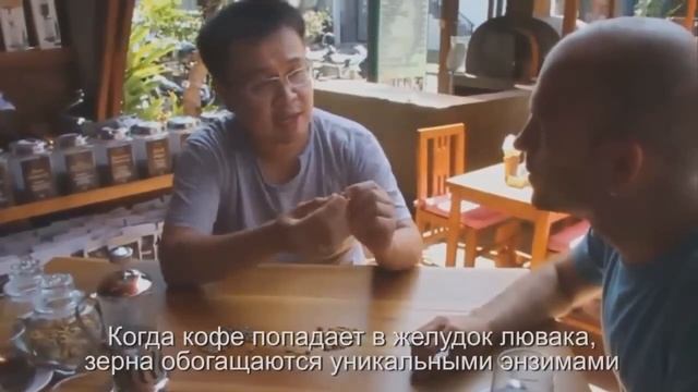 ☕►Кофе Копи Лювак (Kopi Luwak) | Путешествие в Индонезию на плантации кофе | Элитные-чаи.ру смотреть онлайн
