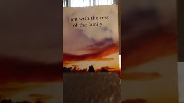 TODAYS ORACLE CARD MESSAGE JUST FOR YOU. each sign... смотреть онлайн