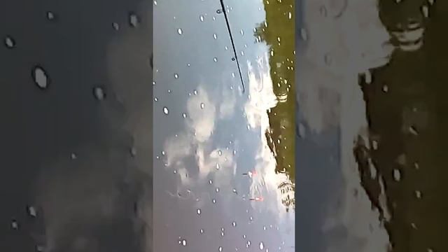 Наша первая рыбалка смотреть онлайн