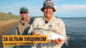 За белым хищником / На рыбалку с Кузьминым 3 // №9