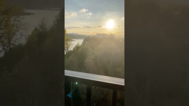 Как отучить собаку метить? 2 часть. смотреть онлайн