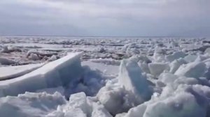 Евгений Баратынский - Весна, весна! Как воздух чист!