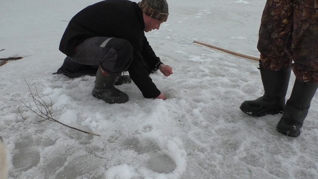 Весенняя рыбалка.Проверка донок и жерлиц на озере в Коми.Попались щуки и налимы. Ищем и ловим окуня смотреть онлайн