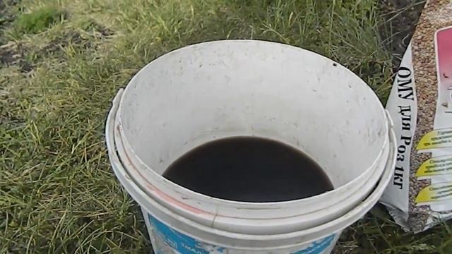 Чем подкормить розы в июне смотреть онлайн