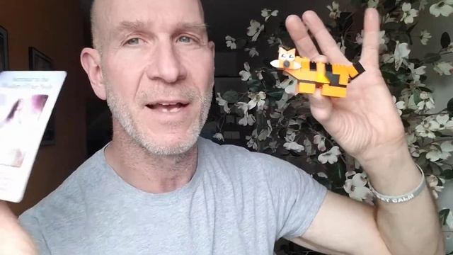 Your Body (of Circumstances) ? Daily Pick A Card Oracle & Tarot Card Readings | Brian Nesline смотреть онлайн