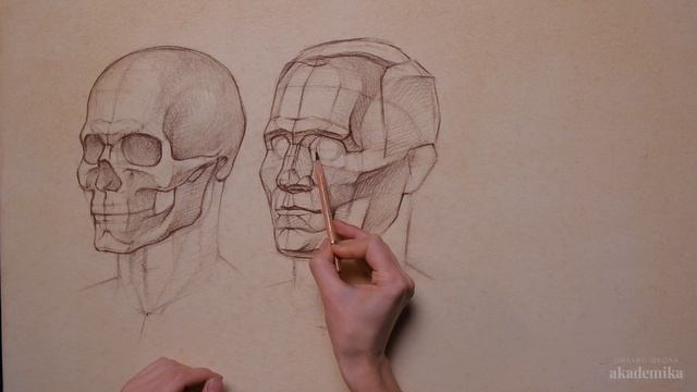 КАК РИСОВАТЬ ГОЛОВУ ЧЕЛОВЕКА? | Онлайн-школа Akademika смотреть онлайн