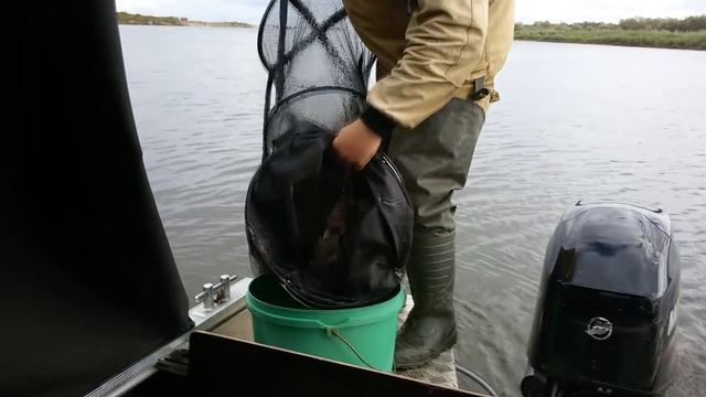 Моторная лодка, катер Real Craft 470 (Салют 470). Отзыв после первого сезона смотреть онлайн