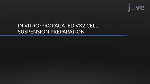 Retroperitoneal Lymphadenopathy From VX2 Cells : Endometrial Cancer | Protocol Preview смотреть онлайн