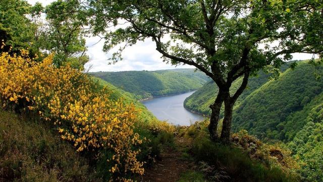 Картинка природа. Весна, леса, красиво, Bilde, Natur, Vår, Skog, Vakker, JPEG.