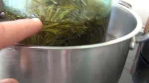 Пихтовое масло рецепт приготовления пихтового масла применение ПРОИЗВОДСТВО Камфора