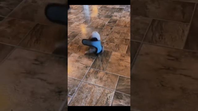 1000002264.mp4 смотреть онлайн