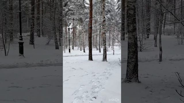 Сказочное место «В некотором царстве» г Рязань смотреть онлайн